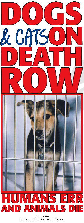 Dogs & Cats on Death Row